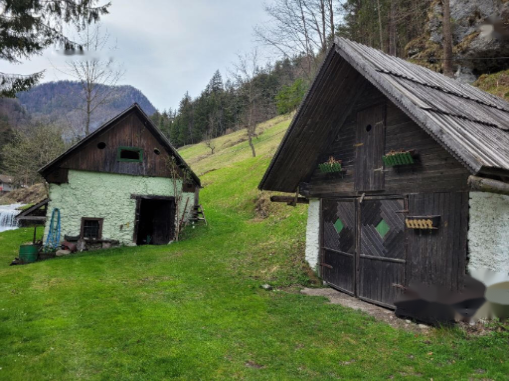 Azienda agricola a Cerknica, Slovenia, 26 317 m2 - foto 7