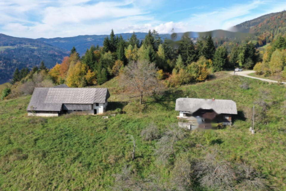 Granja en Muta, Eslovenia, 131 726 m² - imagen 8