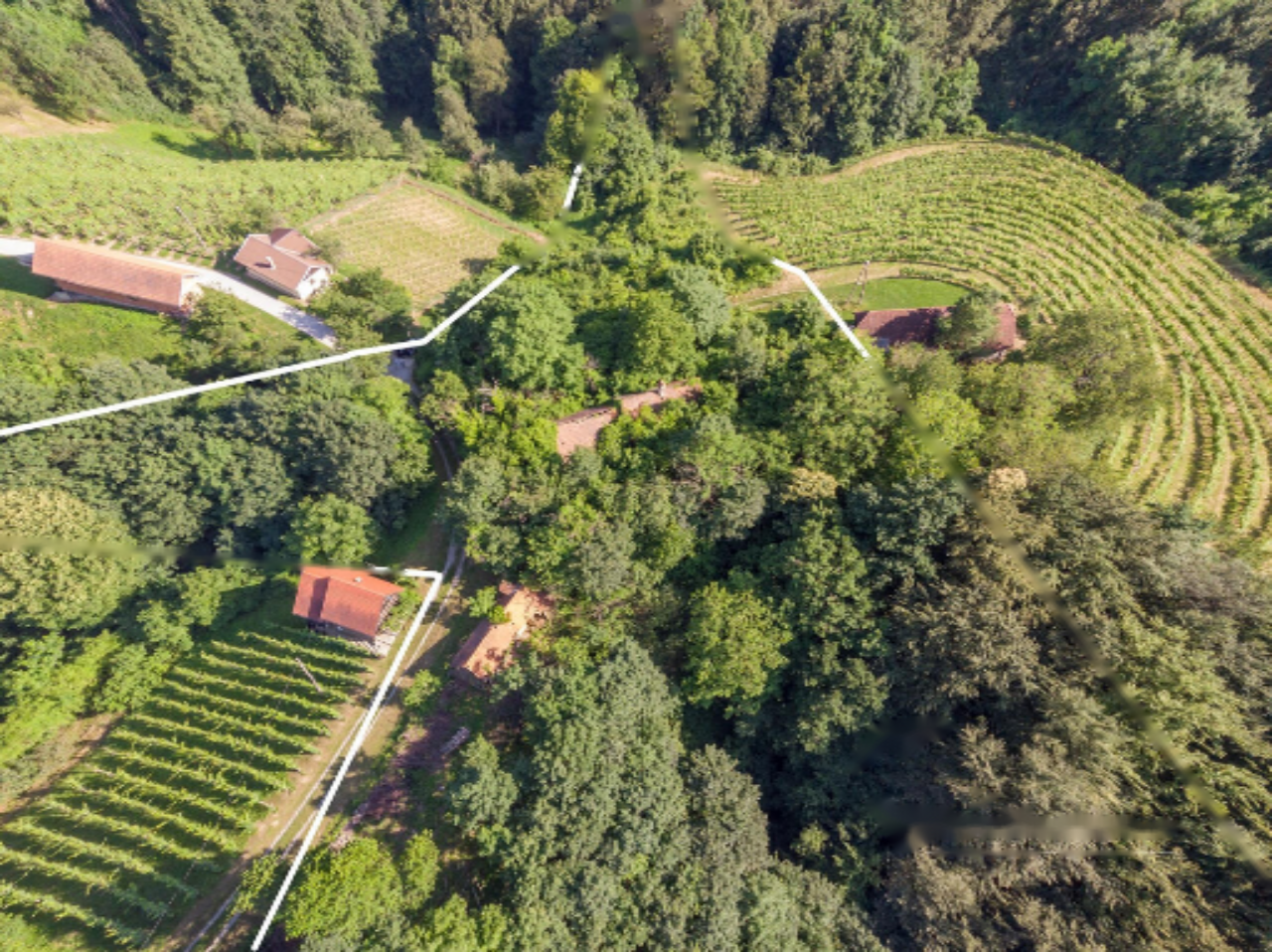 Azienda agricola a Dravograd, Slovenia, 13 101 m2 - foto 8