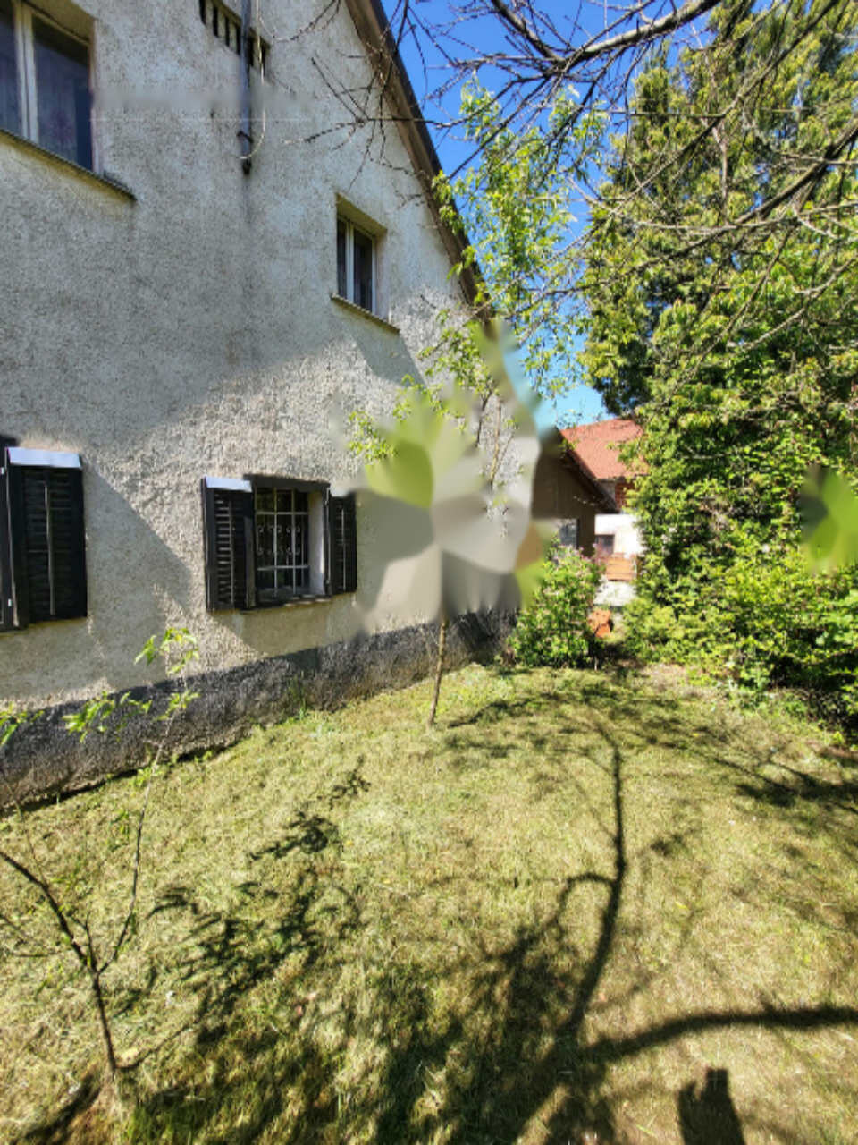Farm in Šentjernej, Slowenien, 95 000 m² - Foto 9