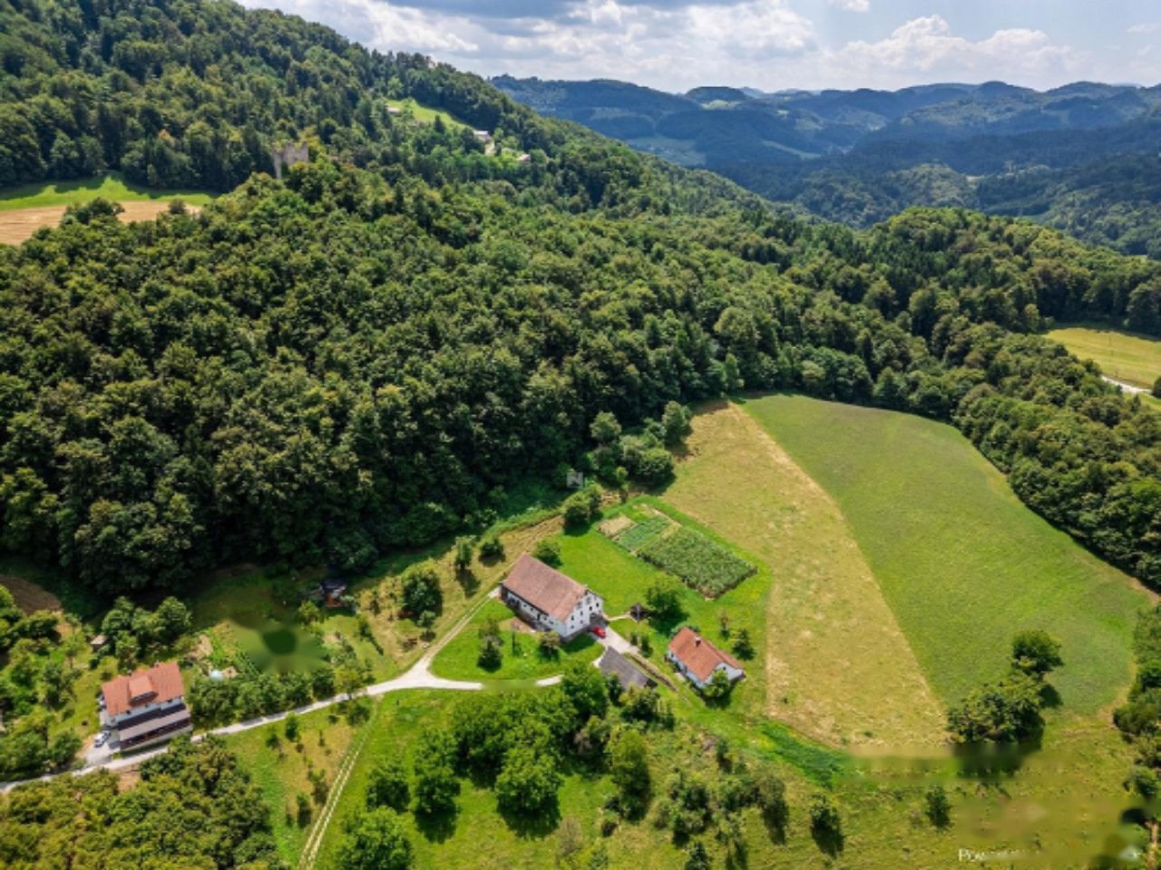 Ferme à Šentjur, Slovénie, 600 m² - image 9