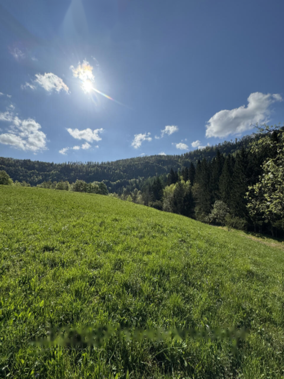 Granja en Bohinj, Eslovenia, 123 186 m² - imagen 9