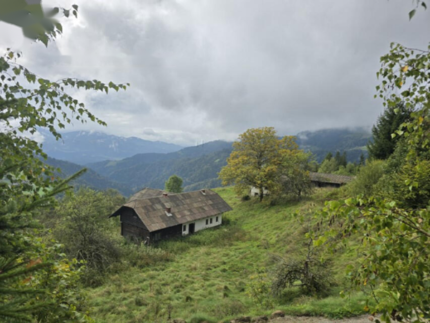 Granja en Muta, Eslovenia, 131 726 m² - imagen 11