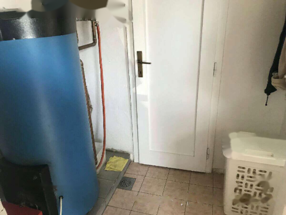 Ferme à Apače, Slovénie, 13 415 m² - image 12