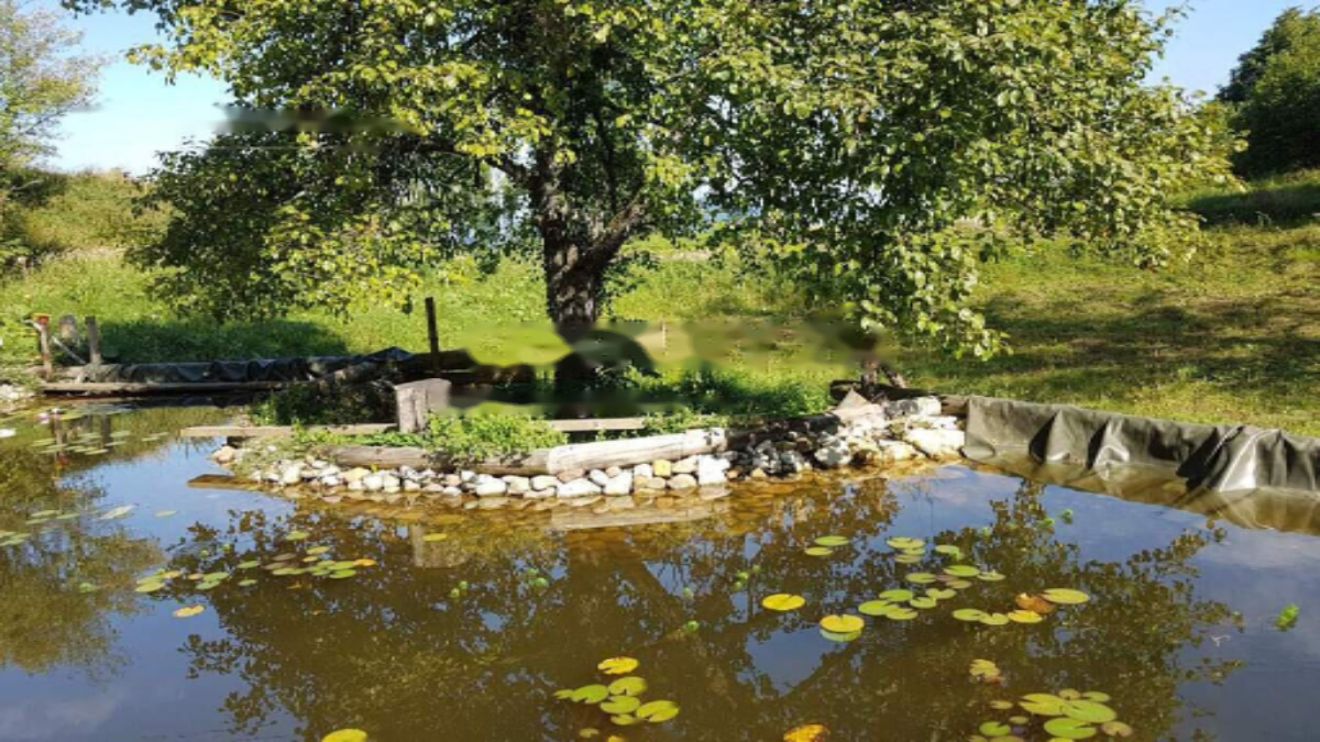Ferme à Kocevje, Slovénie, 129 000 m² - image 12