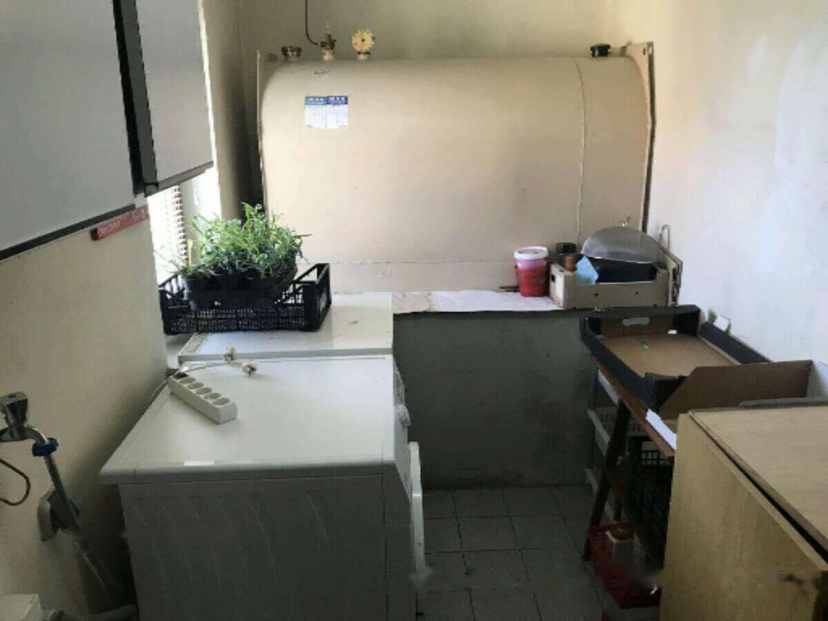 Ferme à Apače, Slovénie, 13 415 m² - image 14