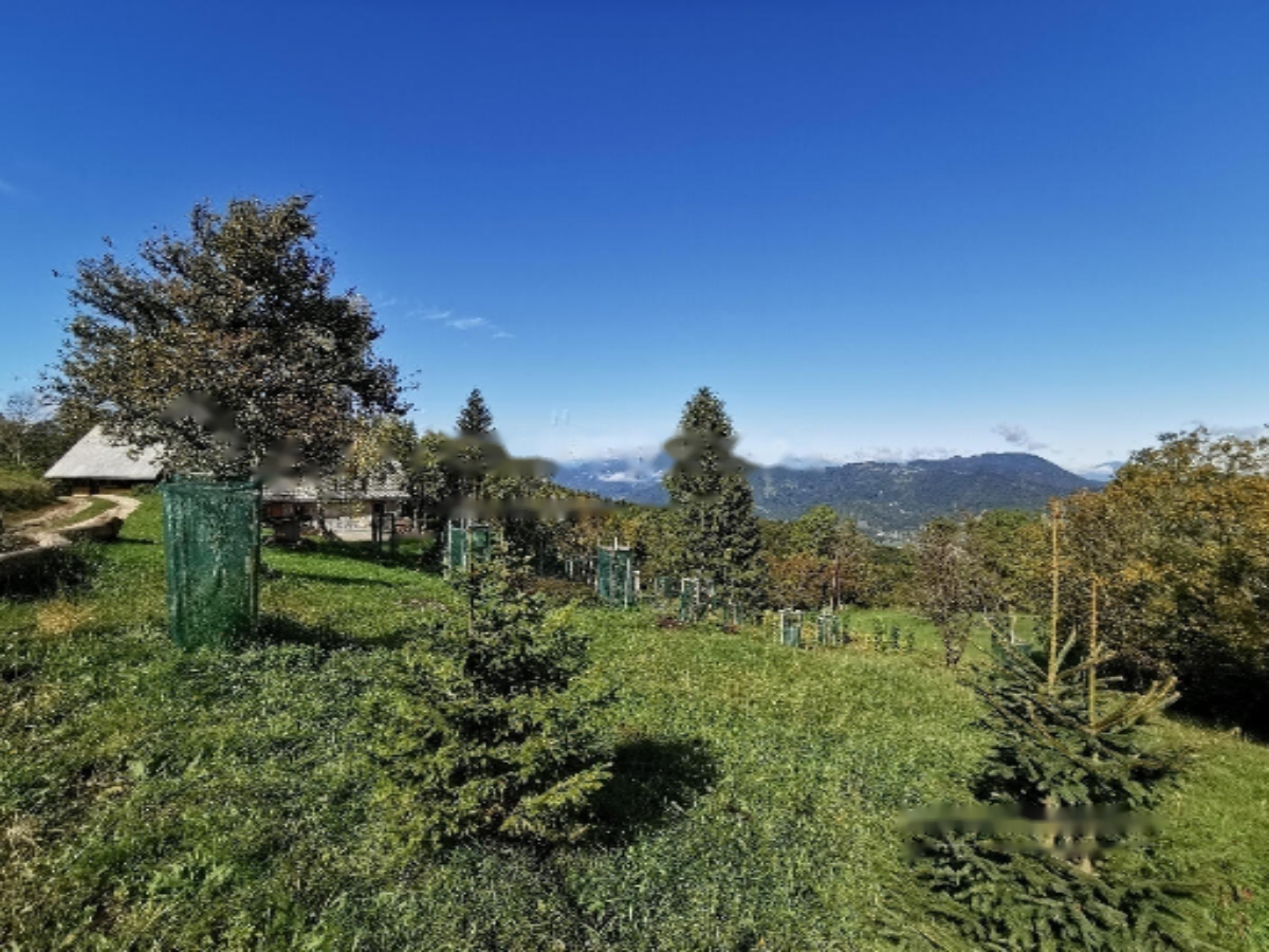 Ferme à Kocevje, Slovénie, 129 000 m² - image 15