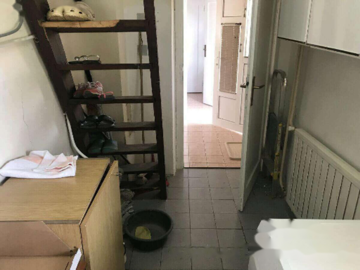 Ferme à Apače, Slovénie, 13 415 m² - image 15