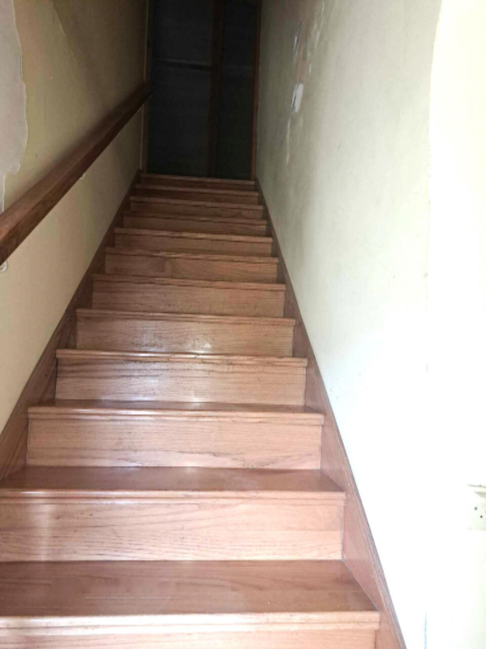 Ferme à Kamnik, Slovénie, 96 595 m² - image 16