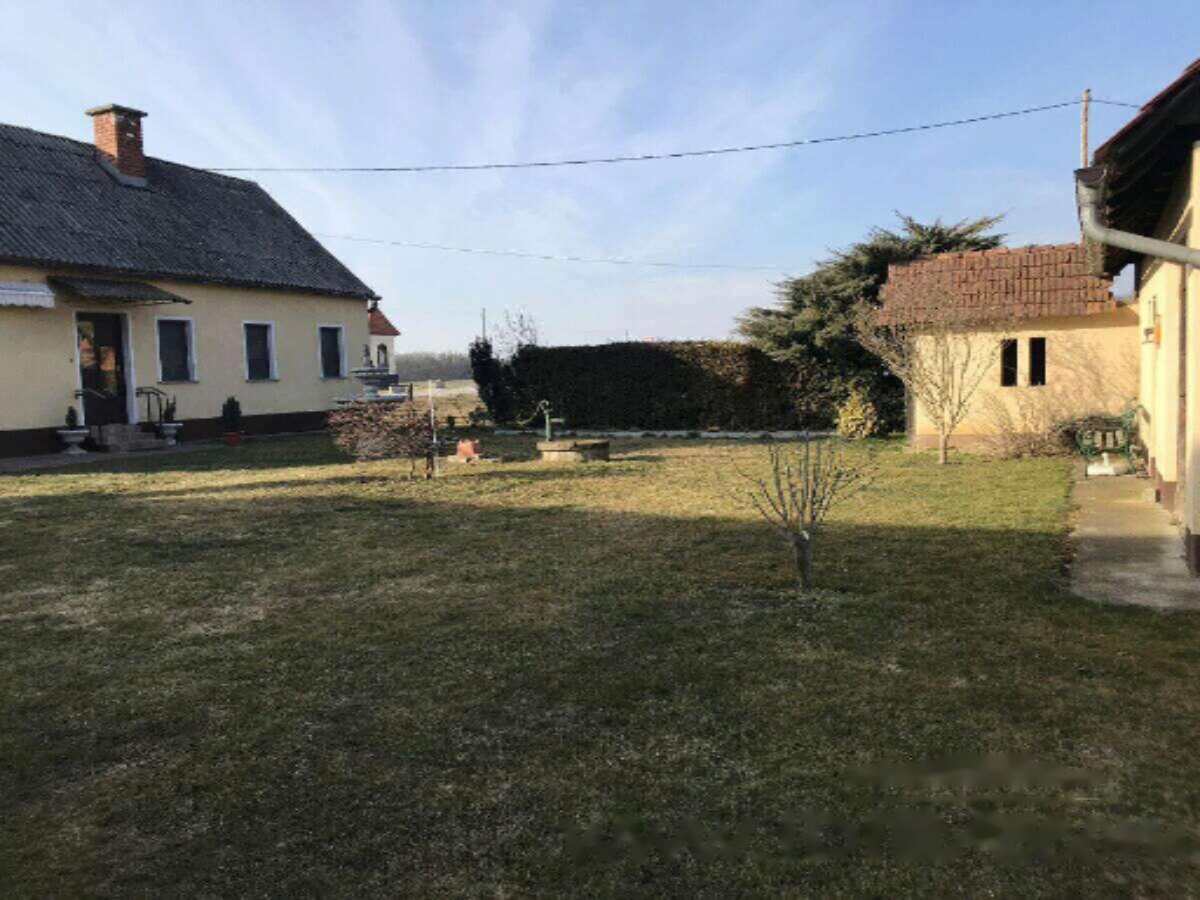 Ferme à Apače, Slovénie, 13 415 m² - image 17