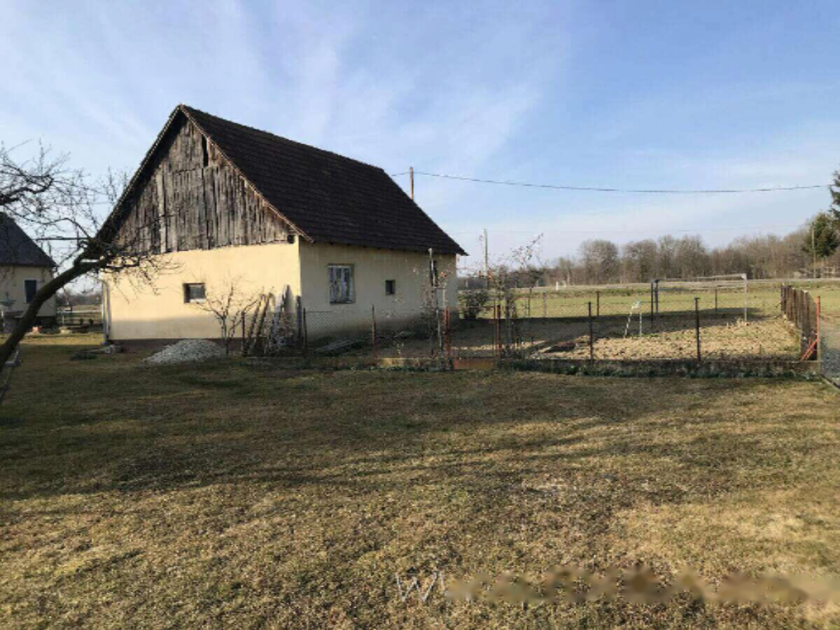 Ferme à Apače, Slovénie, 13 415 m² - image 19