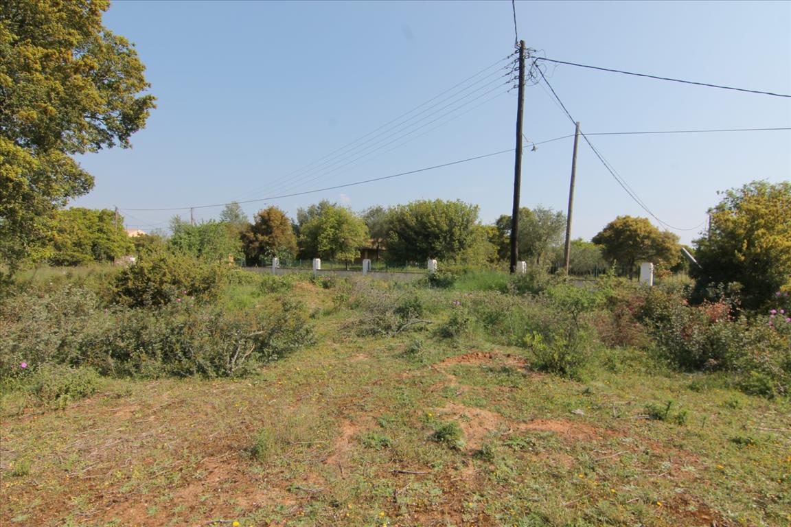 Terreno en Corfú, Grecia, 6 500 m² - imagen 1