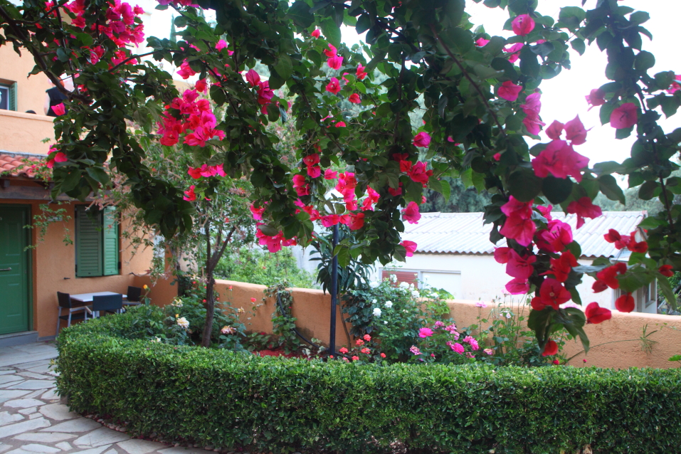 Hotel, albergo su Leucade, Grecia, 1 000 m² - foto 5