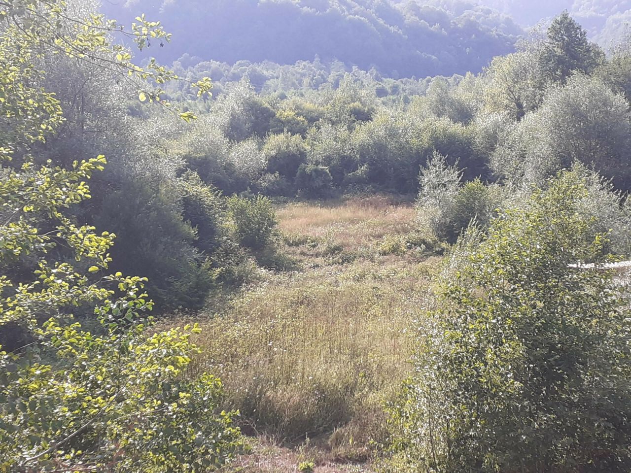 Terreno en Kolasin, Montenegro, 4 400 m² - imagen 4