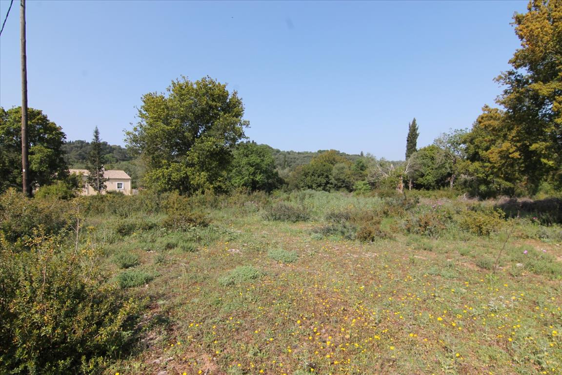 Terrain à Corfou, Grèce, 6 500 m² - image 3