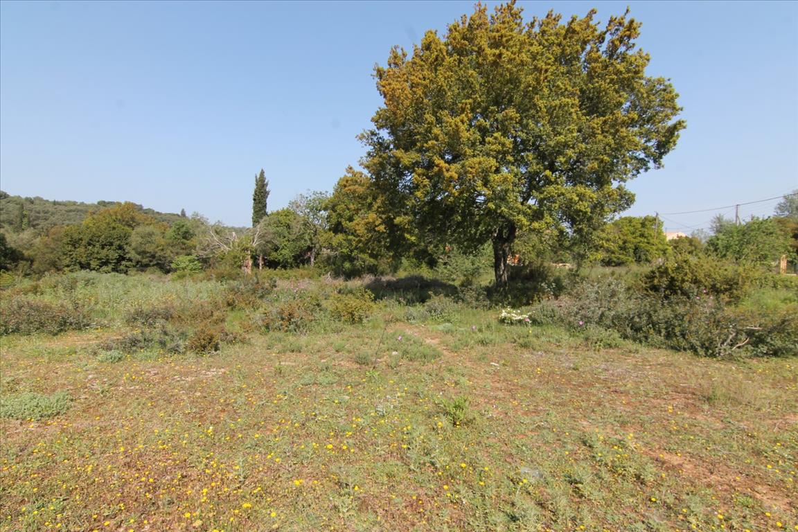 Terrain à Corfou, Grèce, 6 500 m² - image 4