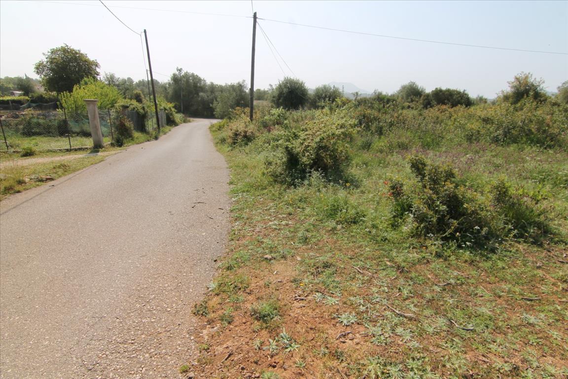 Terrain à Corfou, Grèce, 6 500 m² - image 7