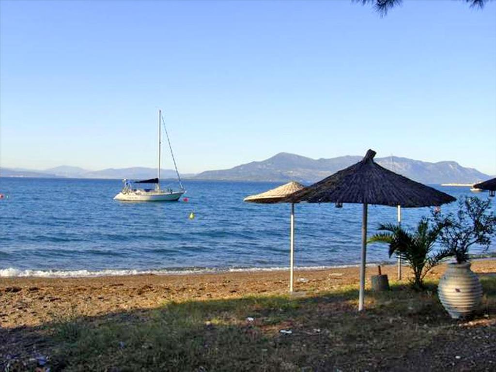 Hôtel en Chalcis, Grèce, 750 m² - image 3