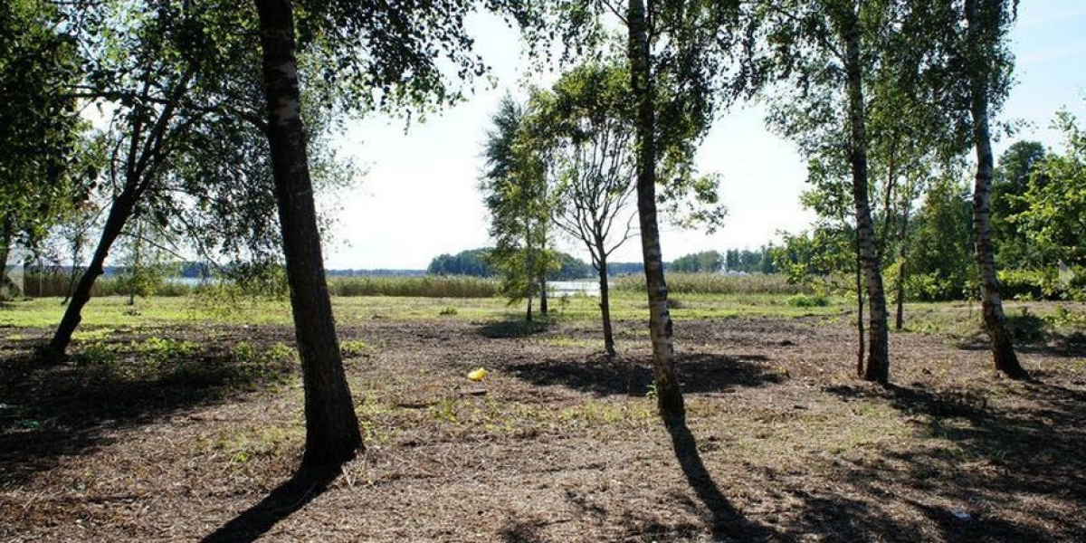 Grundstück in Region Riga, Lettland, 9 940 ar - Foto 1