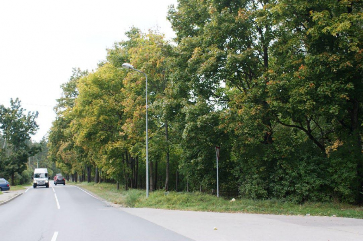 Terreno a Riga, Lettonia, 37 697 a - foto 2