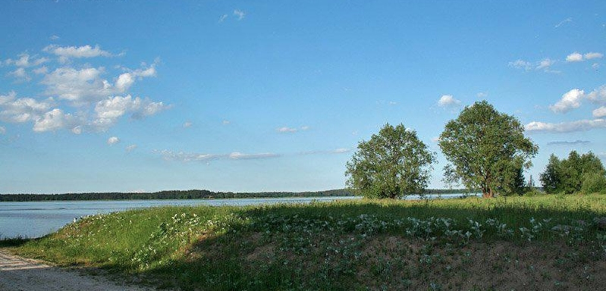 Terreno en Riga, Letonia, 2 440 ares - imagen 2