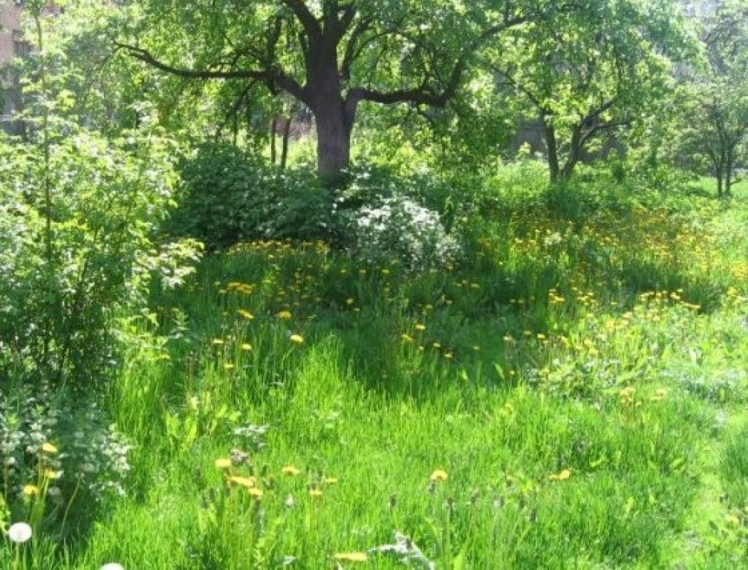 Terreno a Riga, Lettonia, 658 m2 - foto 2