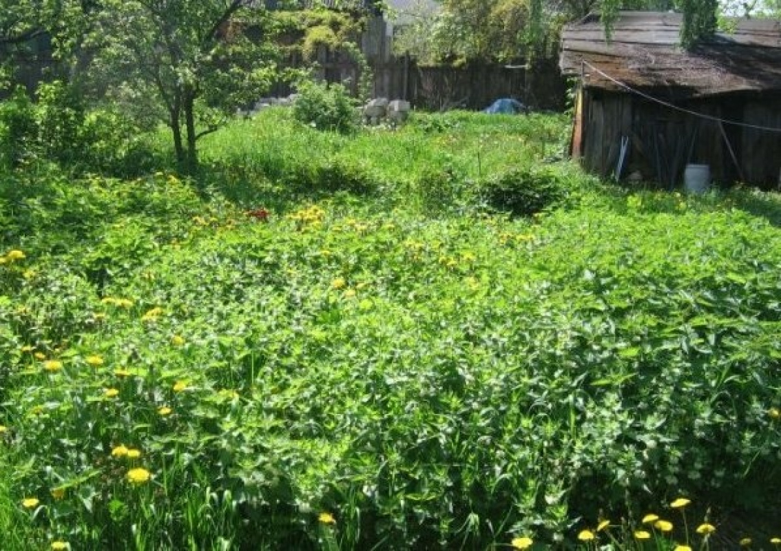 Terreno a Riga, Lettonia, 658 m2 - foto 3