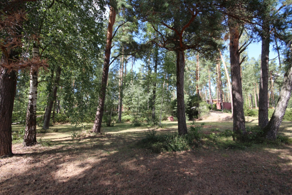 Terrain dans le quartier de Riga, Lettonie, 5 925 ares - image 4