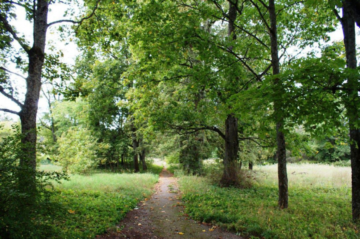 Terreno a Riga, Lettonia, 37 697 a - foto 4