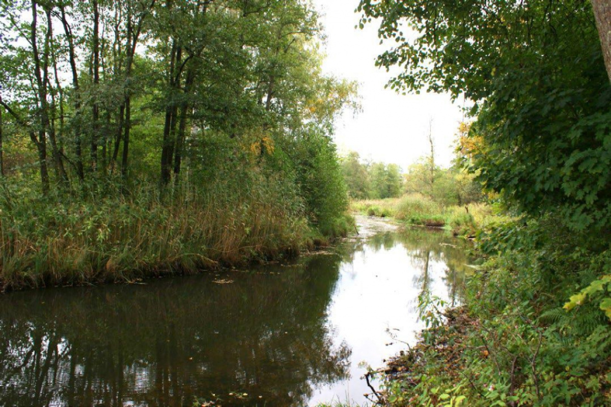 Terreno a Riga, Lettonia, 37 697 a - foto 7