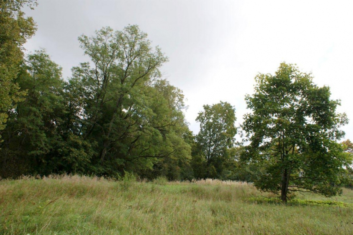 Terreno a Riga, Lettonia, 37 697 a - foto 9