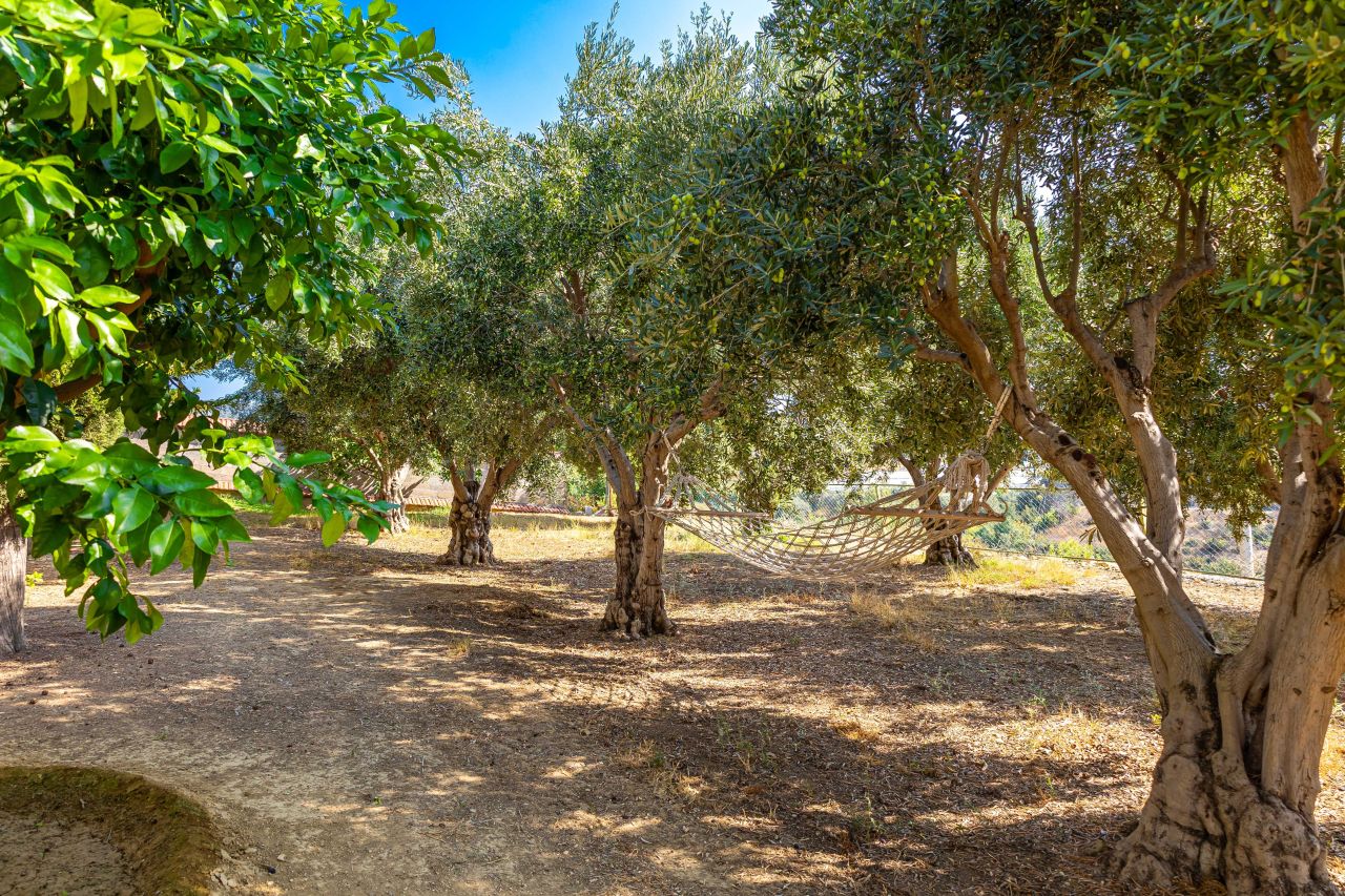 Villa in Avsallar, Turkey, 500 m² - picture 14