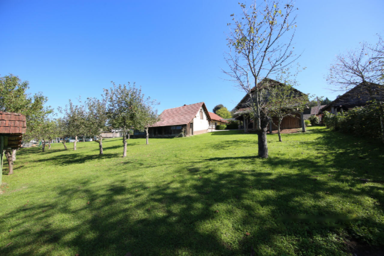 Ferme à Vipava, Slovénie, 115 000 m² - image 1