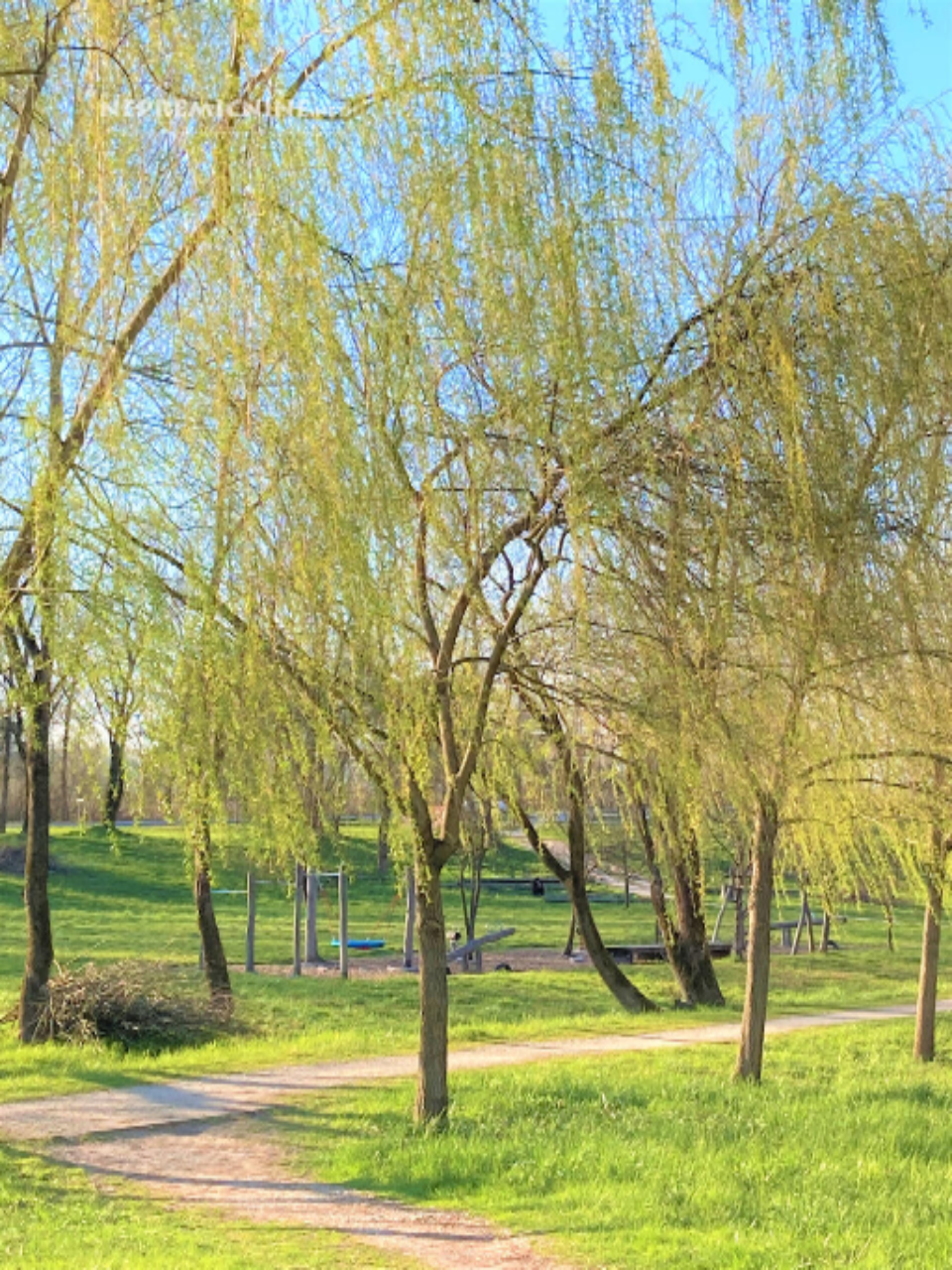 Grundstück in Ljubljana, Slowenien, 4 936 m² - Foto 2