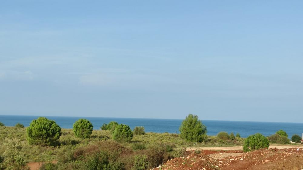 Villa in Umag, Kroatien, 452 m² - Foto 8