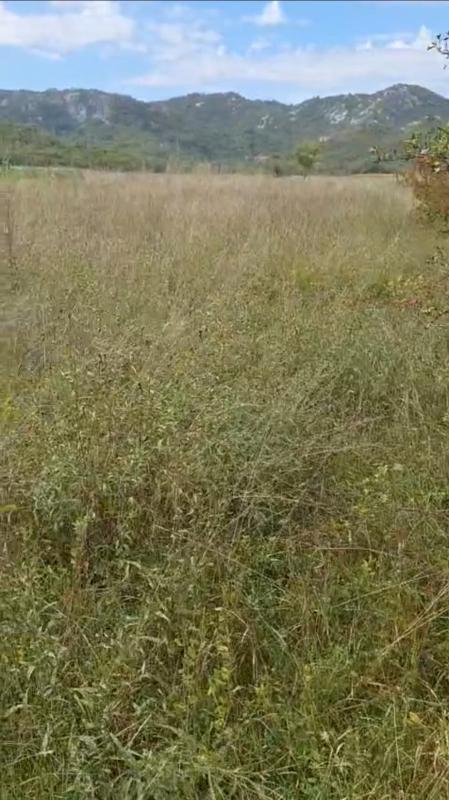 Casa en Nikšić, Montenegro, 45 m² - imagen 8