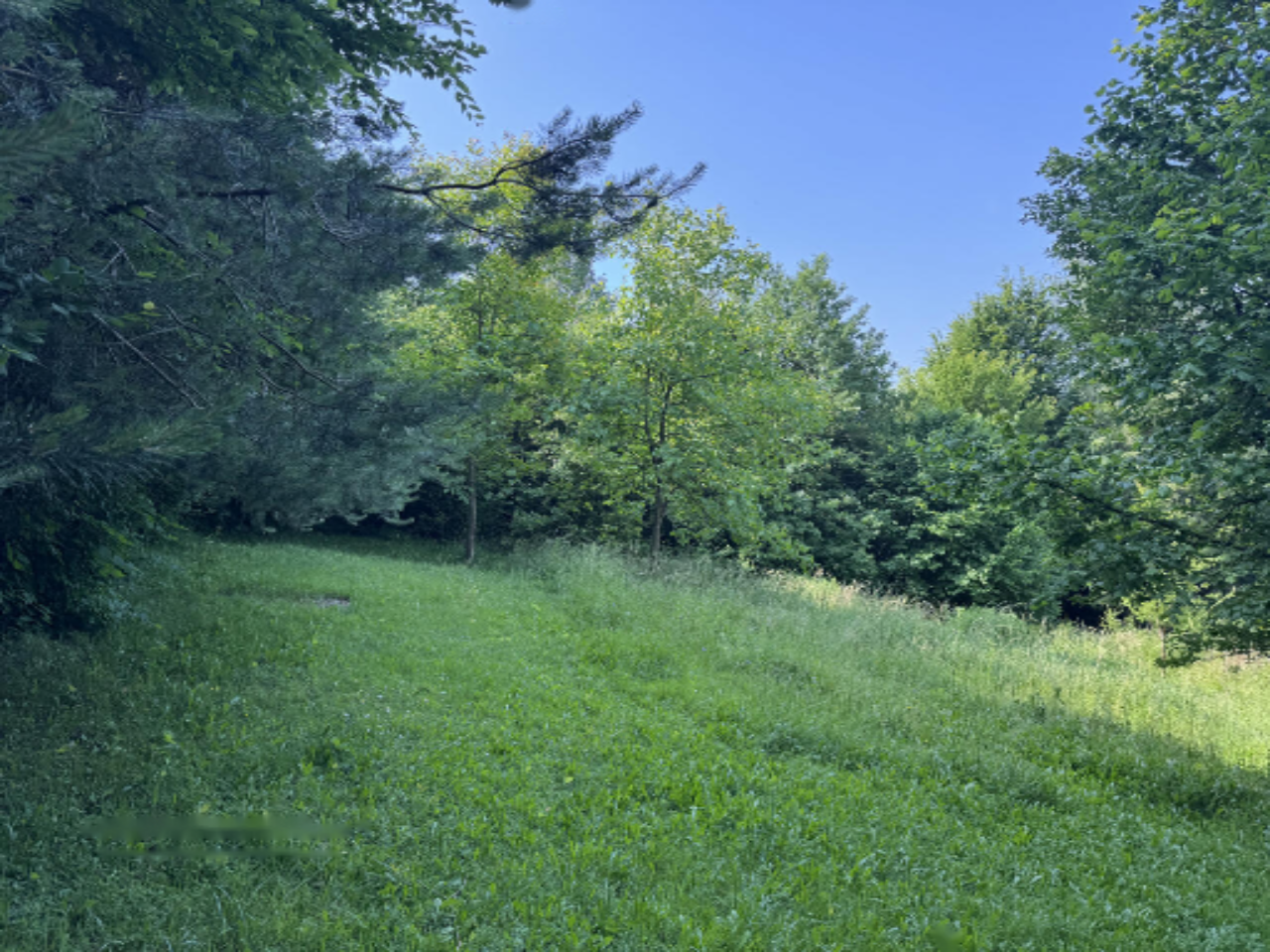 Terrain à Ljubljana, Slovénie, 911 m² - image 1