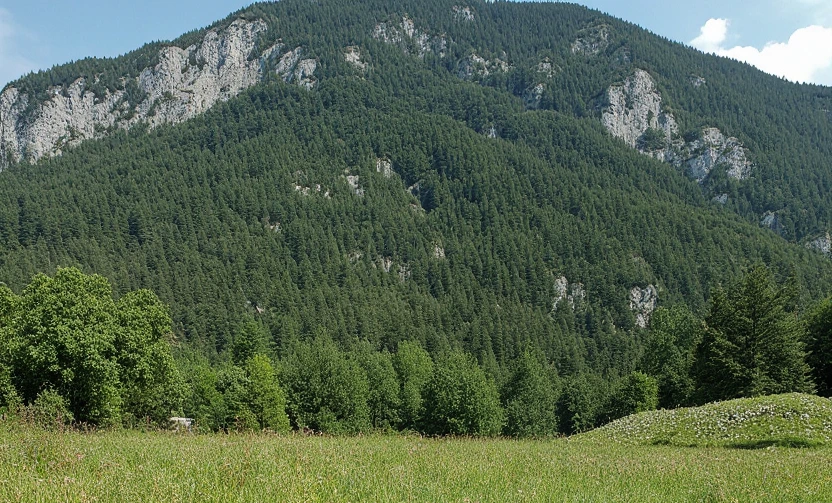 Terrain à Ljubljana, Slovénie, 499 m² - image 1