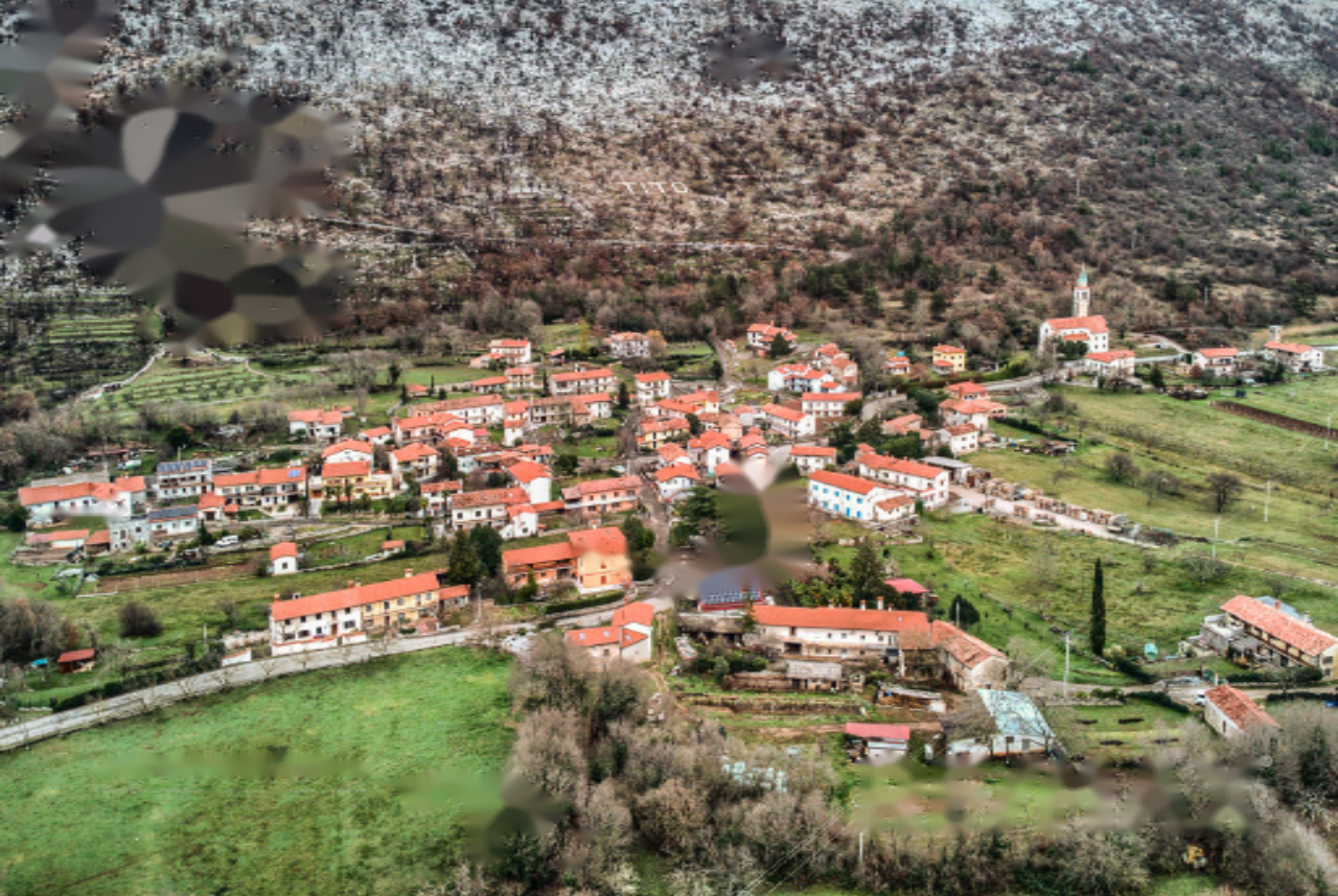 Farm in Komen, Slovenia, 3 327 m² - picture 4