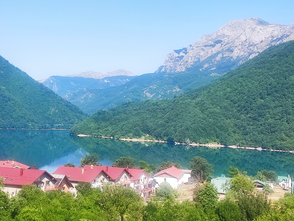 Terrain en Pluzine, Monténégro, 10 ha - image 4