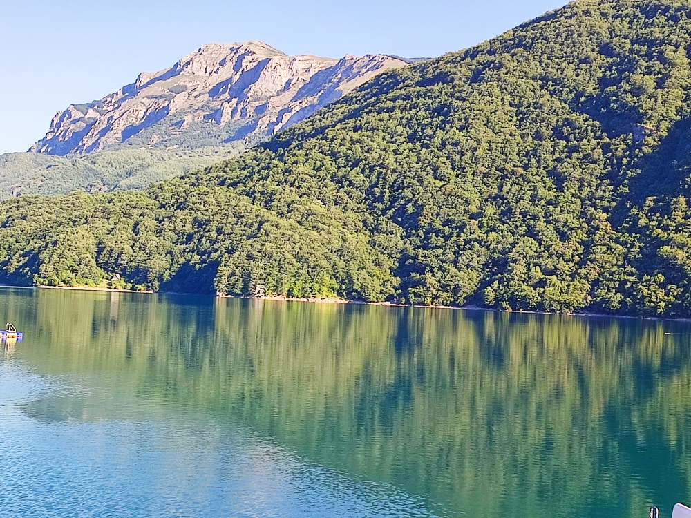 Land in Pluzine, Montenegro, 10 ha - picture 1