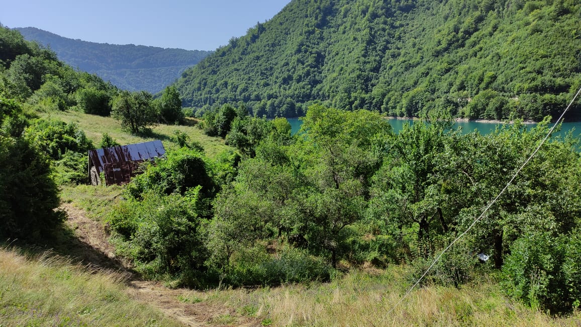 Terrain en Pluzine, Monténégro, 10 ha - image 5