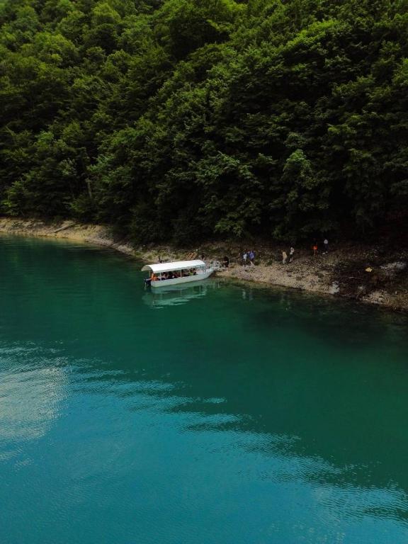 Terrain en Pluzine, Monténégro, 10 ha - image 11