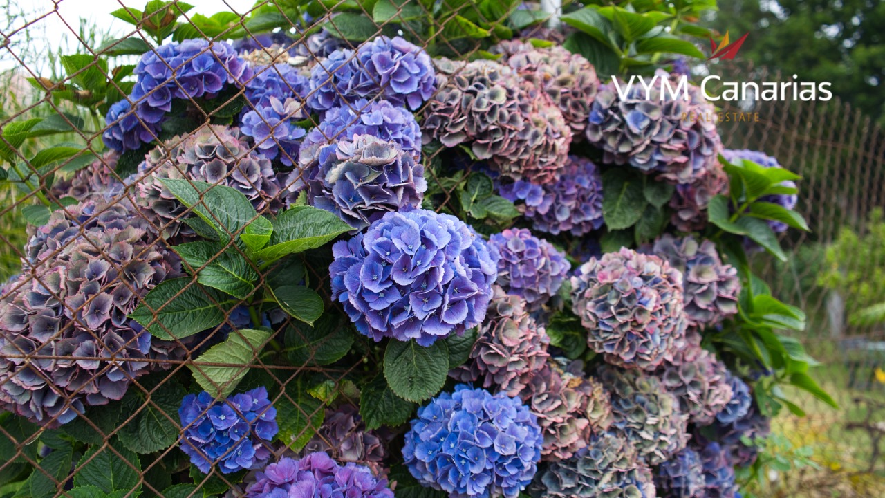 Villa su Tenerife, Spagna, 450 m² - foto 5