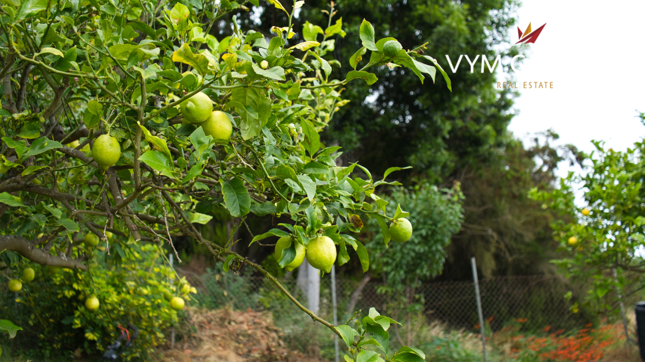 Villa su Tenerife, Spagna, 450 m² - foto 9