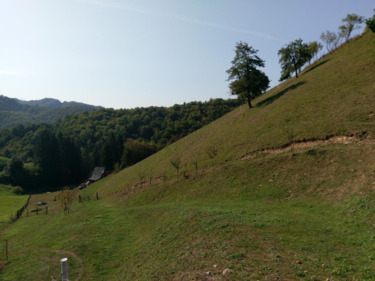 Azienda agricola a Ptuj, Slovenia, 28 000 m2 - foto 2