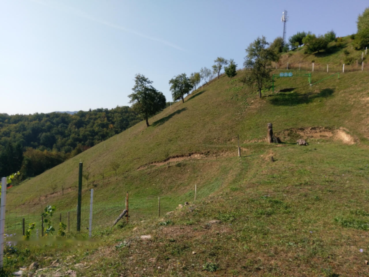 Azienda agricola a Ptuj, Slovenia, 28 000 m2 - foto 3