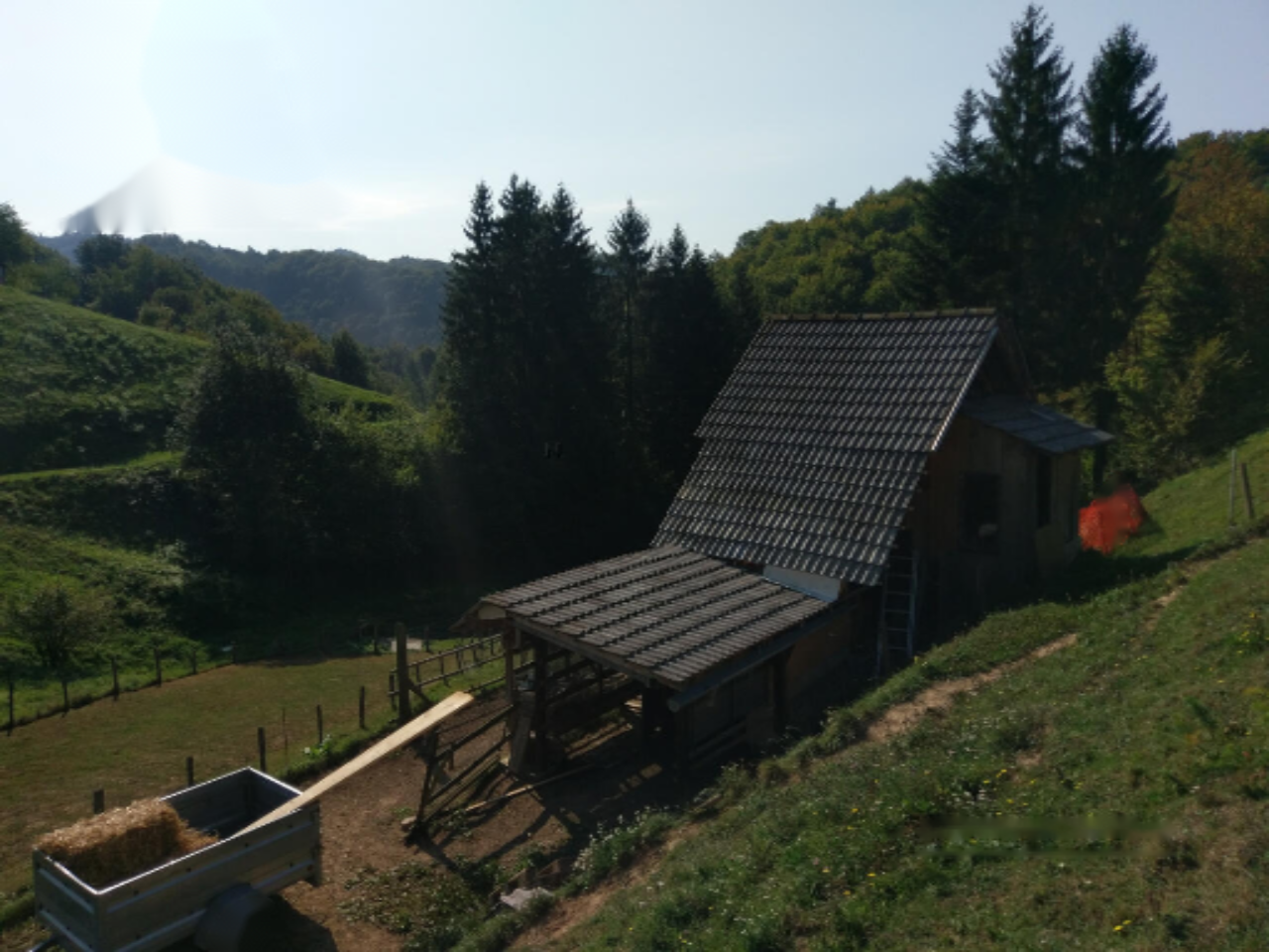 Azienda agricola a Ptuj, Slovenia, 28 000 m2 - foto 4