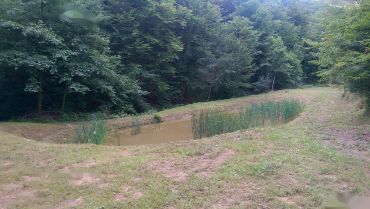 Azienda agricola a Ptuj, Slovenia, 28 000 m2 - foto 6