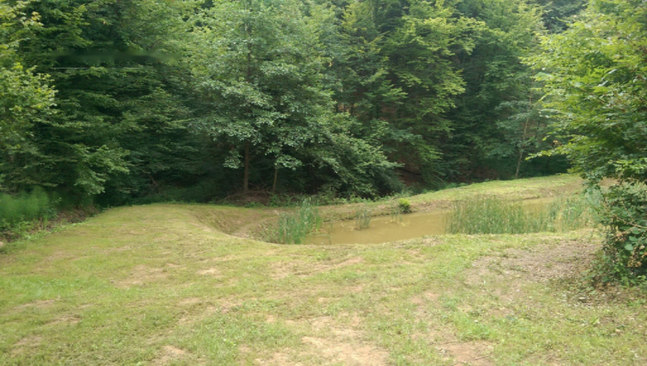 Azienda agricola a Ptuj, Slovenia, 28 000 m2 - foto 7